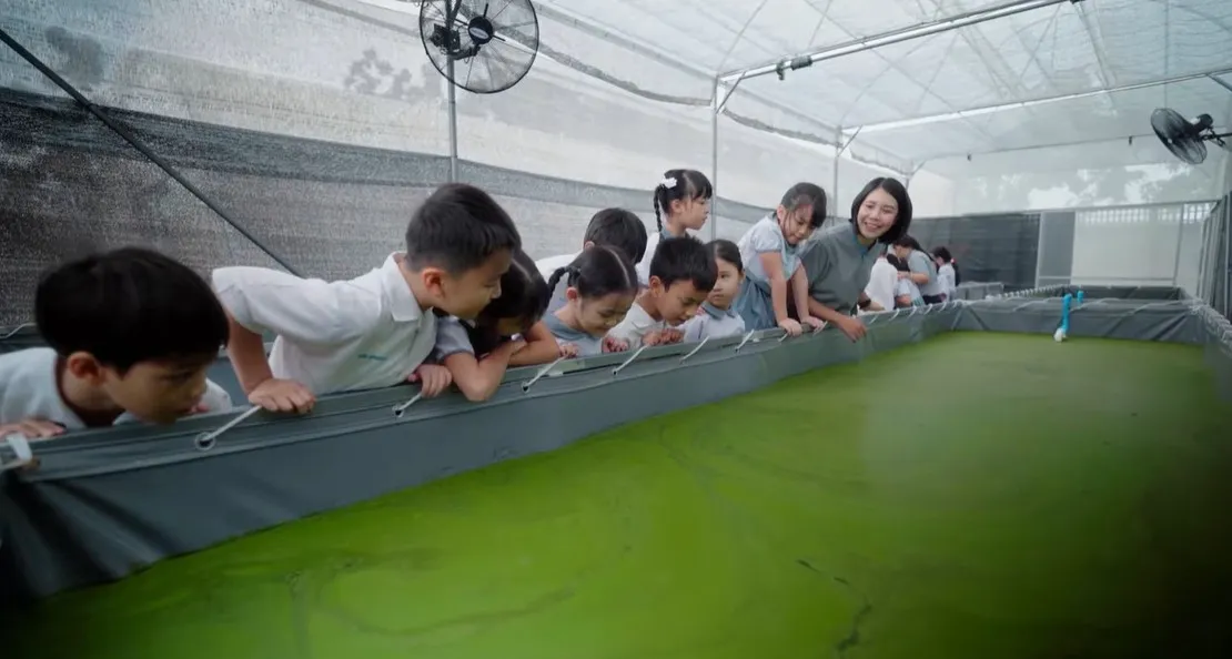 สิ่งอำนวยความสะดวกและสภาพแวดล้อมการเรียนรู้พิเศษ